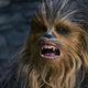 ¿Qué está diciendo Chewbacca? Imagen: Lucasfilm/Disney